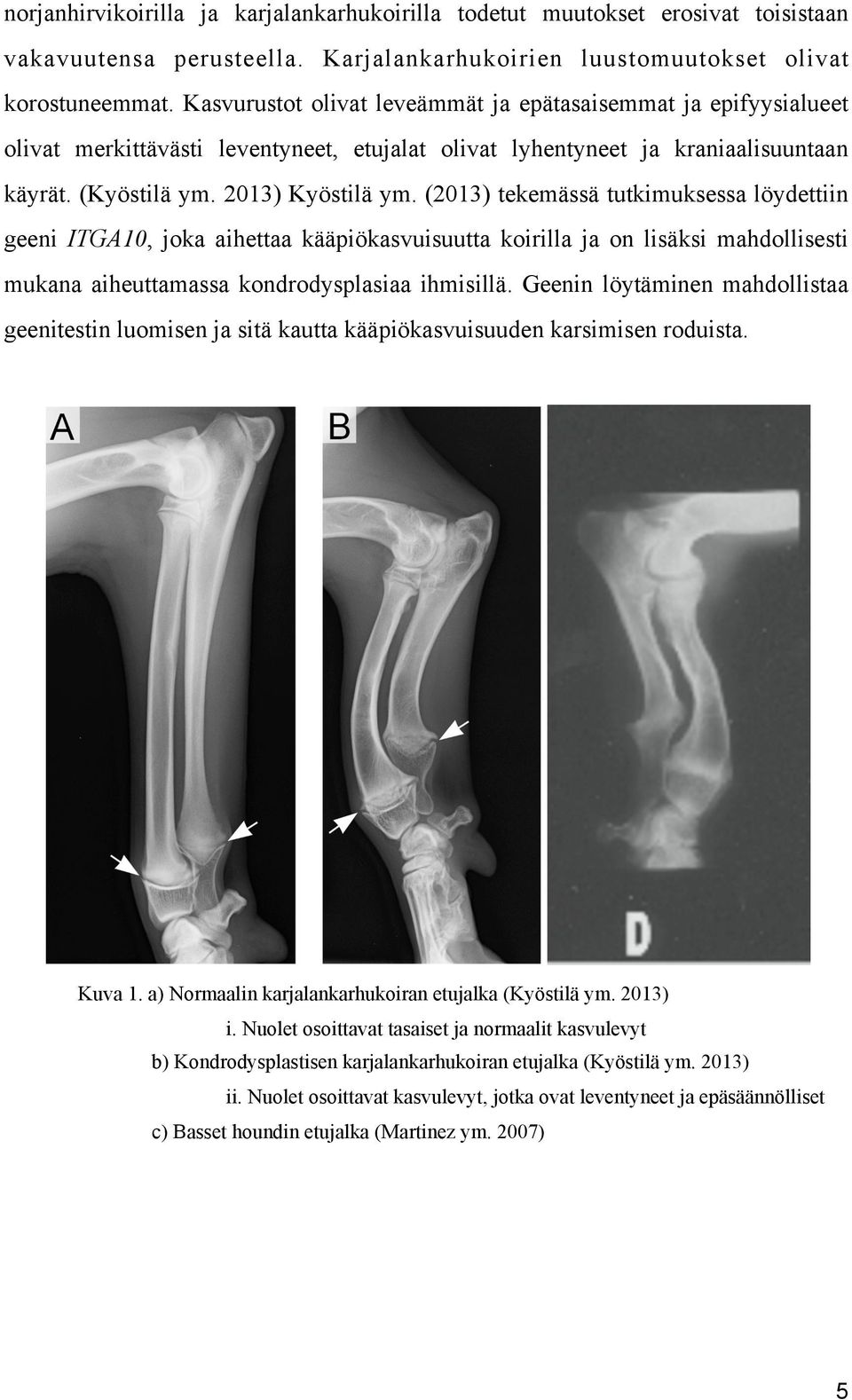 (2013) tekemässä tutkimuksessa löydettiin geeni ITGA10, joka aihettaa kääpiökasvuisuutta koirilla ja on lisäksi mahdollisesti mukana aiheuttamassa kondrodysplasiaa ihmisillä.
