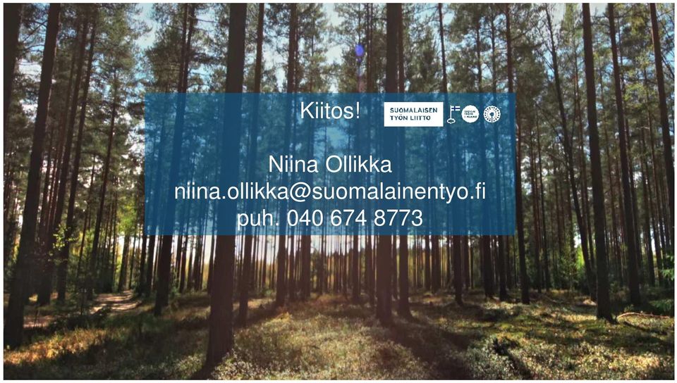 niina.