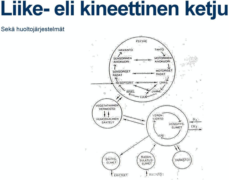 ketju Sekä