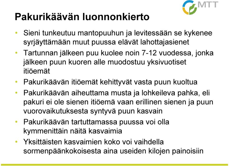 Pakurikäävän aiheuttama musta ja lohkeileva pahka, eli pakuri ei ole sienen itiöemä vaan erillinen sienen ja puun vuorovaikutuksesta syntyvä puun kasvain