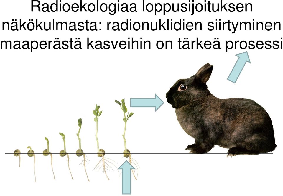 näkökulmasta: