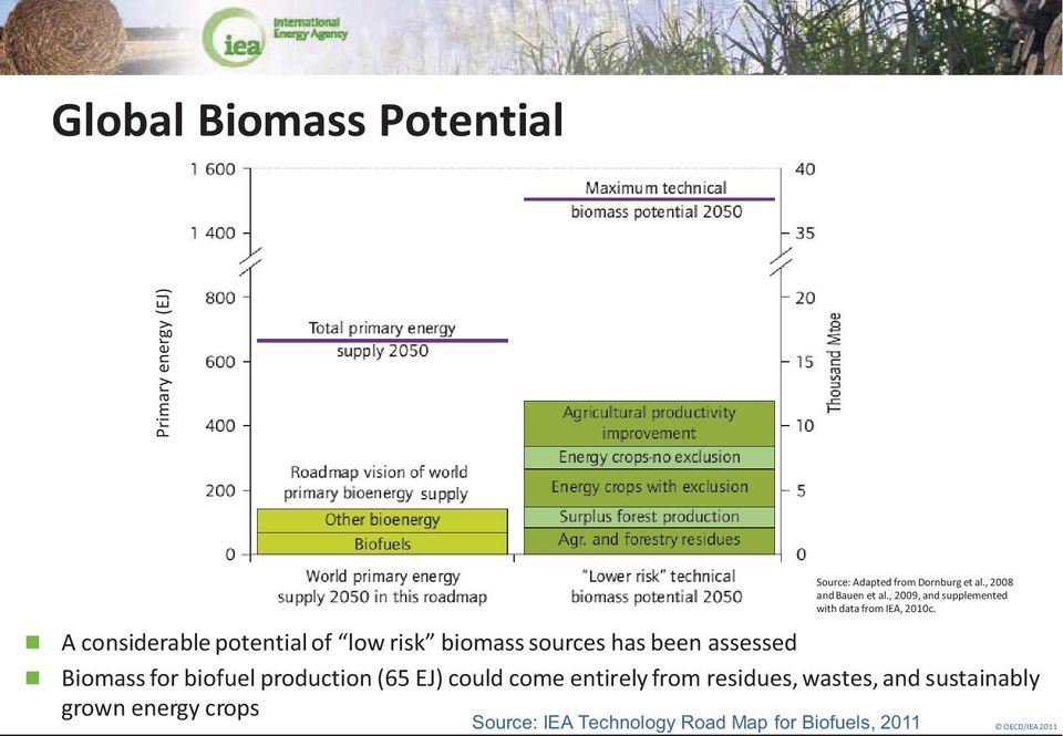 A considerable potential of low risk biomass sources has been assessed Biomass for biofuel production