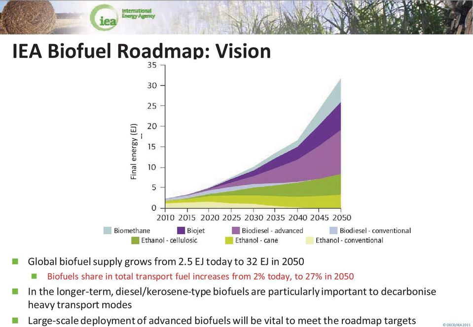 in 2050 In the longer-term, diesel/kerosene-type biofuels are particularly important to decarbonise