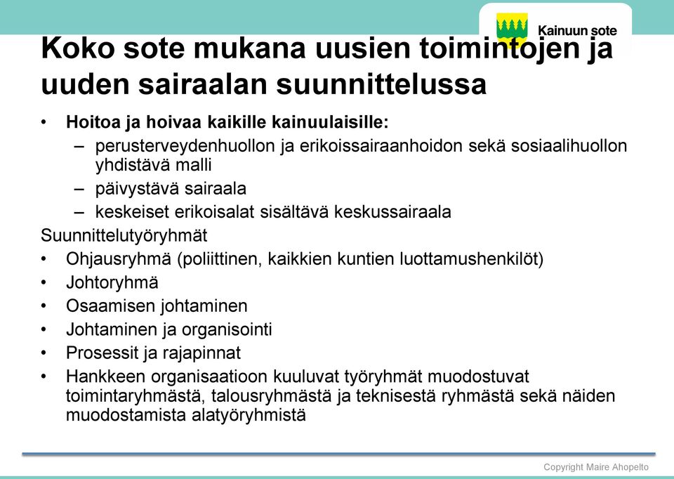 Suunnittelutyöryhmät Ohjausryhmä (poliittinen, kaikkien kuntien luottamushenkilöt) Johtoryhmä Osaamisen johtaminen Johtaminen ja organisointi