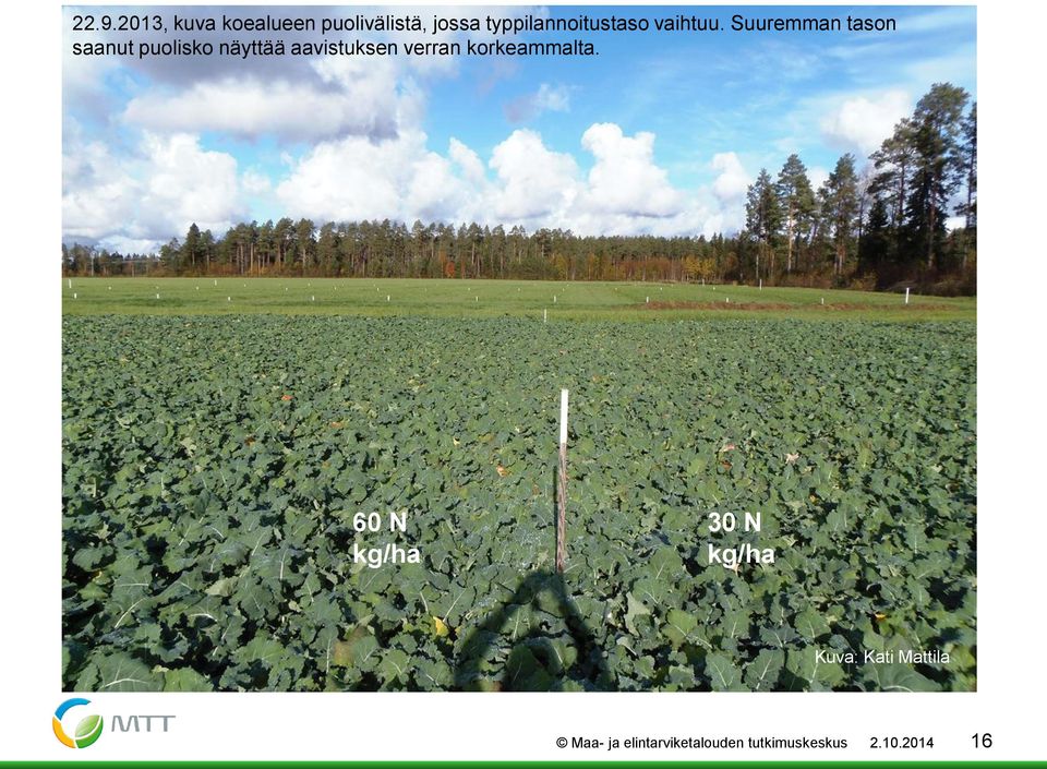 Suuremman tason saanut puolisko näyttää aavistuksen