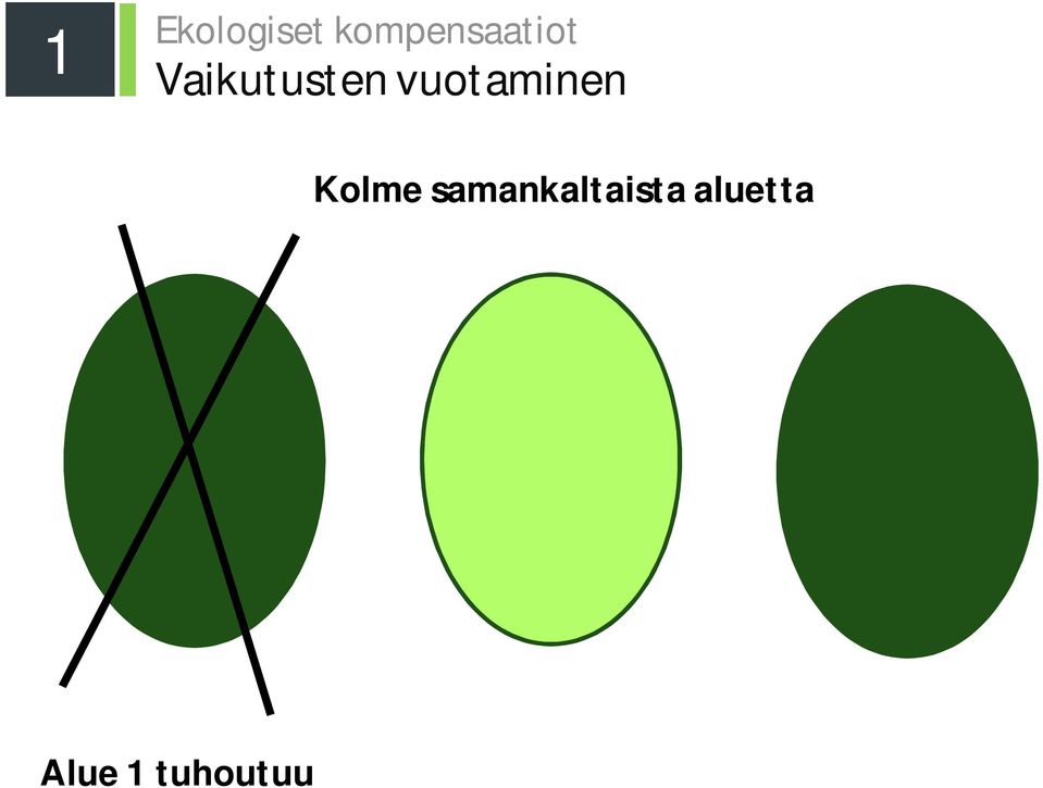 Vaikutusten vuotaminen