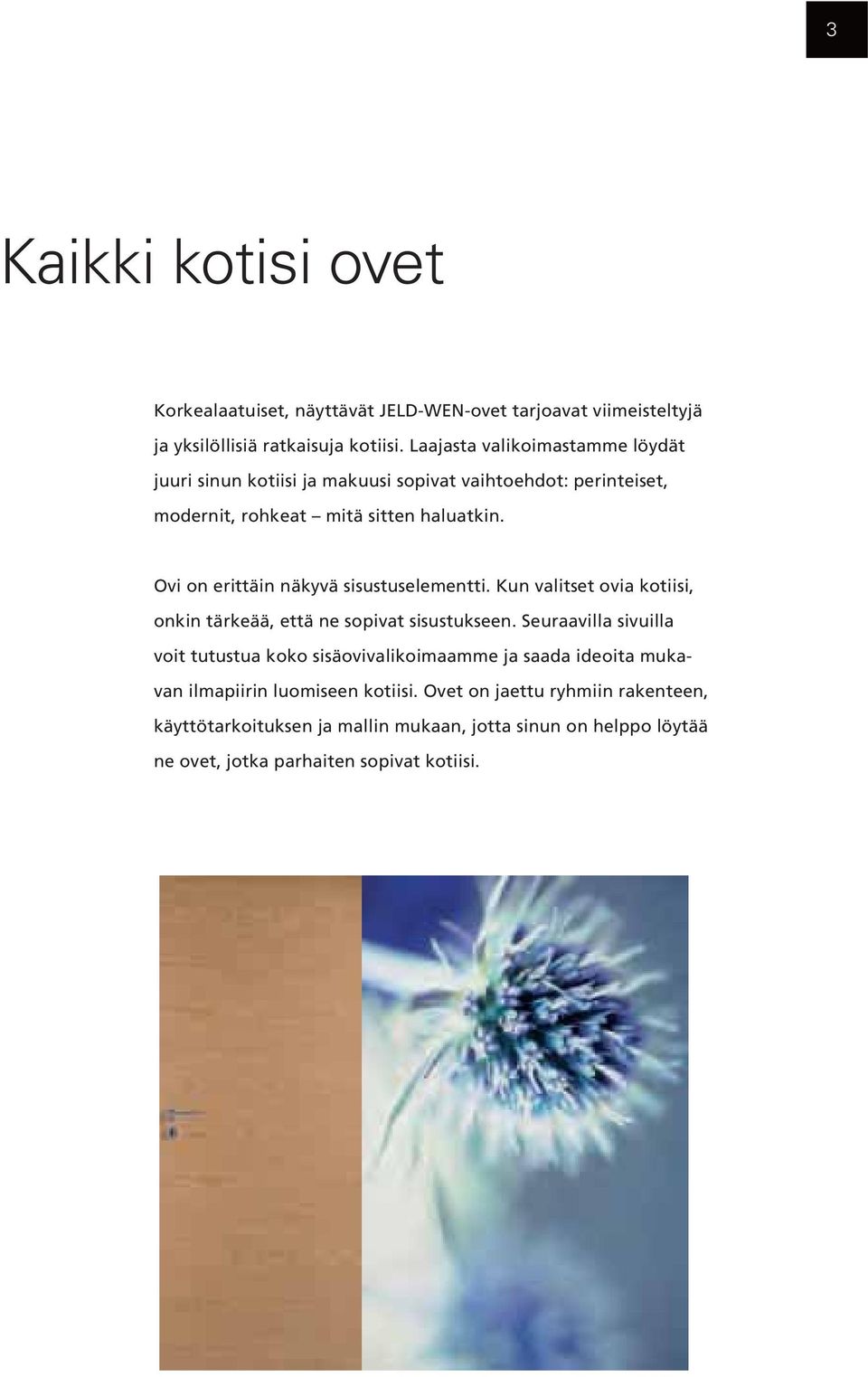 Ovi on erittäin näkyvä sisustuselementti. Kun valitset ovia kotiisi, onkin tärkeää, että ne sopivat sisustukseen.