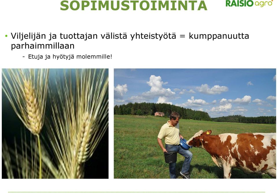 = kumppanuutta parhaimmillaan