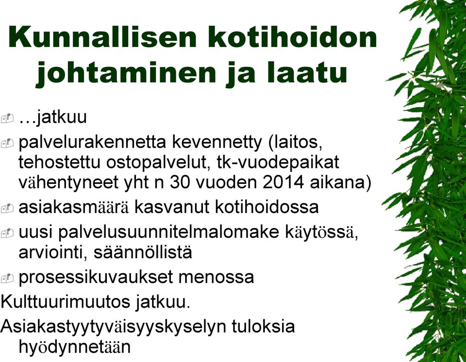 kotihoidossa uusi palvelusuunnitelmalomake käytössä, arviointi, säännöllistä