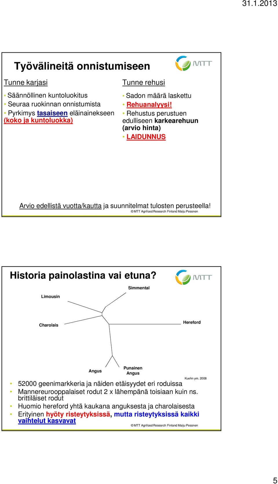 Historia painolastina vai etuna? Limousin Simmental Charolais Hereford Angus Punainen Angus Kuehn ym.