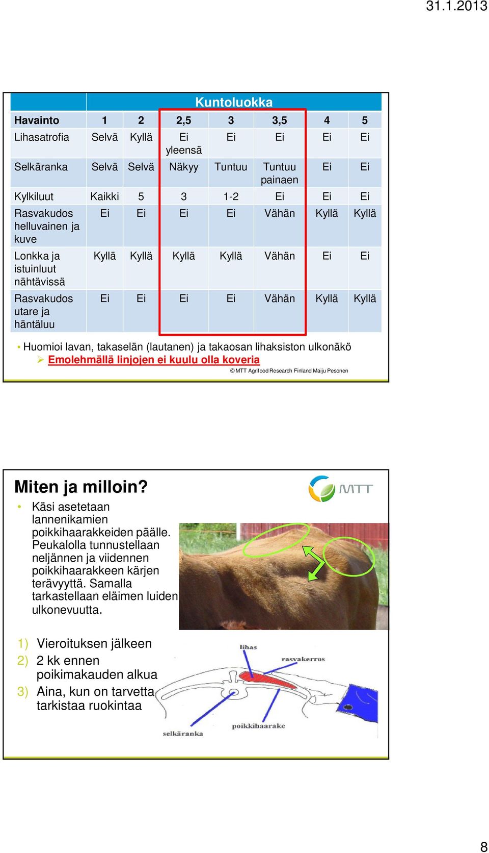 takaselän (lautanen) ja takaosan lihaksiston ulkonäkö Emolehmällä linjojen ei kuulu olla koveria MTT Agrifood Research Finland Maiju Pesonen Miten ja milloin?