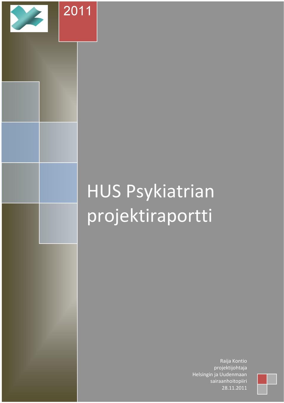 projektijohtaja Helsingin ja