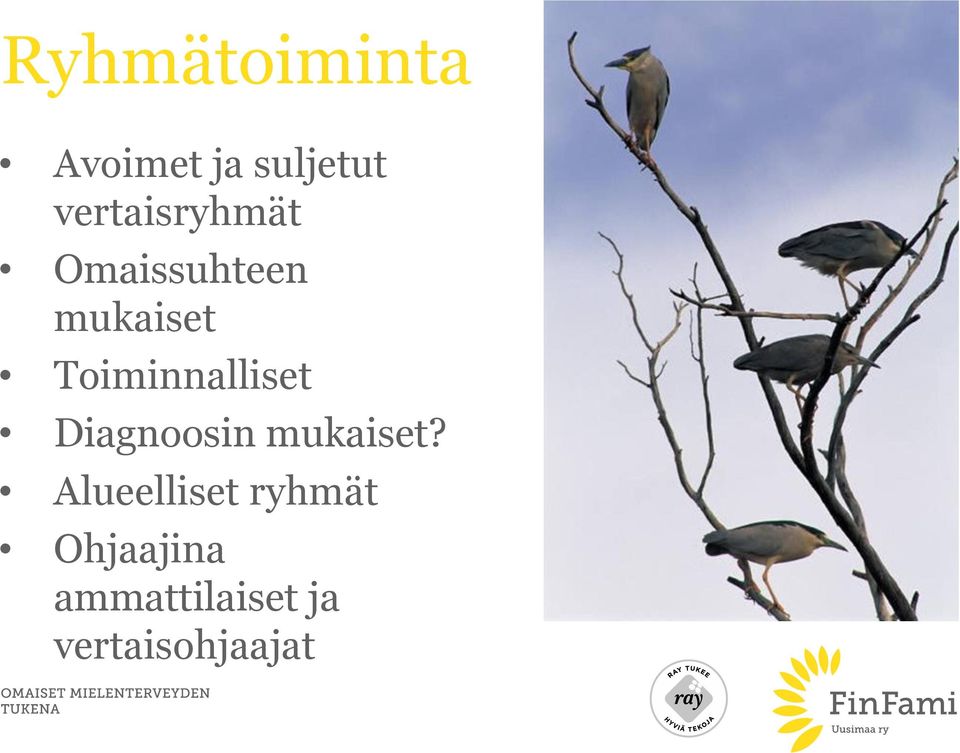 Toiminnalliset Diagnoosin mukaiset?