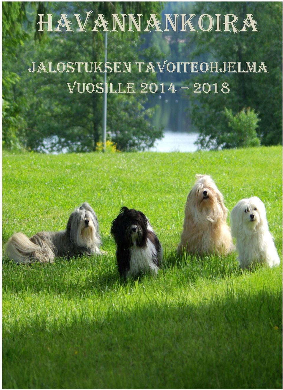 TAVOITEOHJELMA