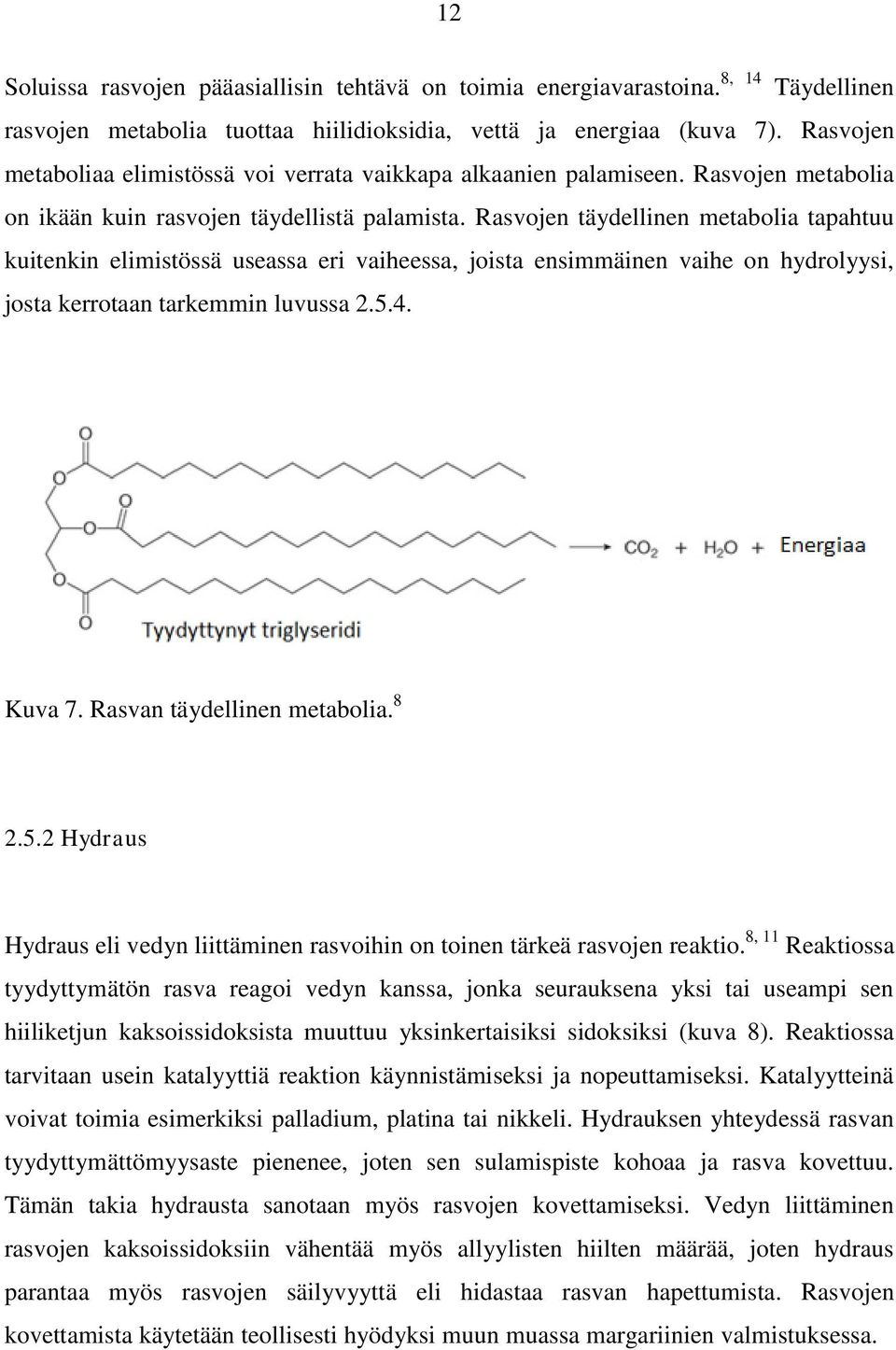 Rasvojen täydellinen metabolia tapahtuu kuitenkin elimistössä useassa eri vaiheessa, joista ensimmäinen vaihe on hydrolyysi, josta kerrotaan tarkemmin luvussa 2.5.4. Kuva 7.