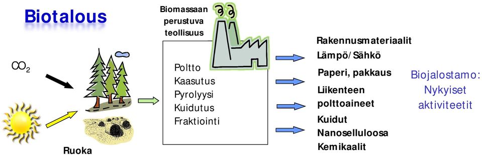 Lämpö/Sähkö Paperi, pakkaus Liikenteen polttoaineet Kuidut