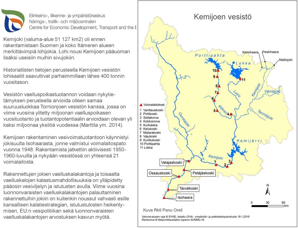 Vesistön vaelluspoikastuotannon voidaan nykytietämyksen perusteella arvioida olleen samaa suuruusluokkaa Tornionjoen vesistön kanssa, jossa on viime vuosina ylitetty miljoonan vaelluspoikasen
