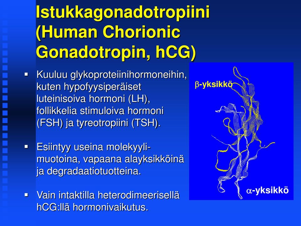 tyreotropiini (TSH).