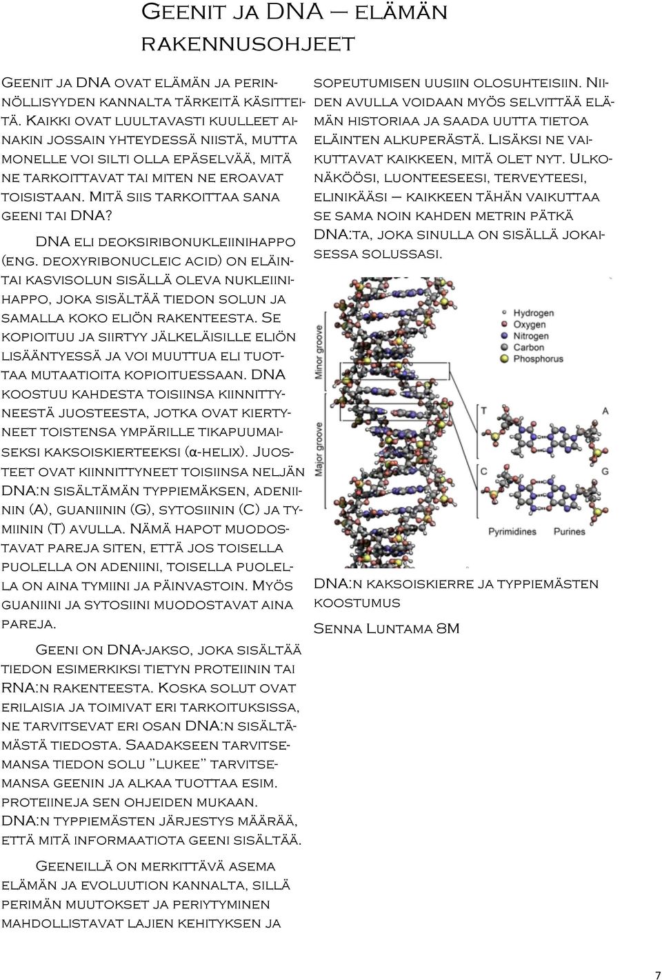 Mitä siis tarkoittaa sana geeni tai DNA? DNA eli deoksiribonukleiinihappo (eng.