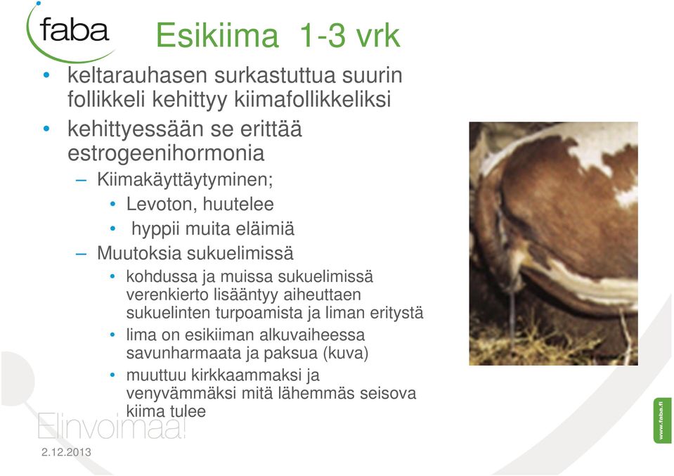 muissa sukuelimissä verenkierto lisääntyy aiheuttaen sukuelinten turpoamista ja liman eritystä lima on esikiiman
