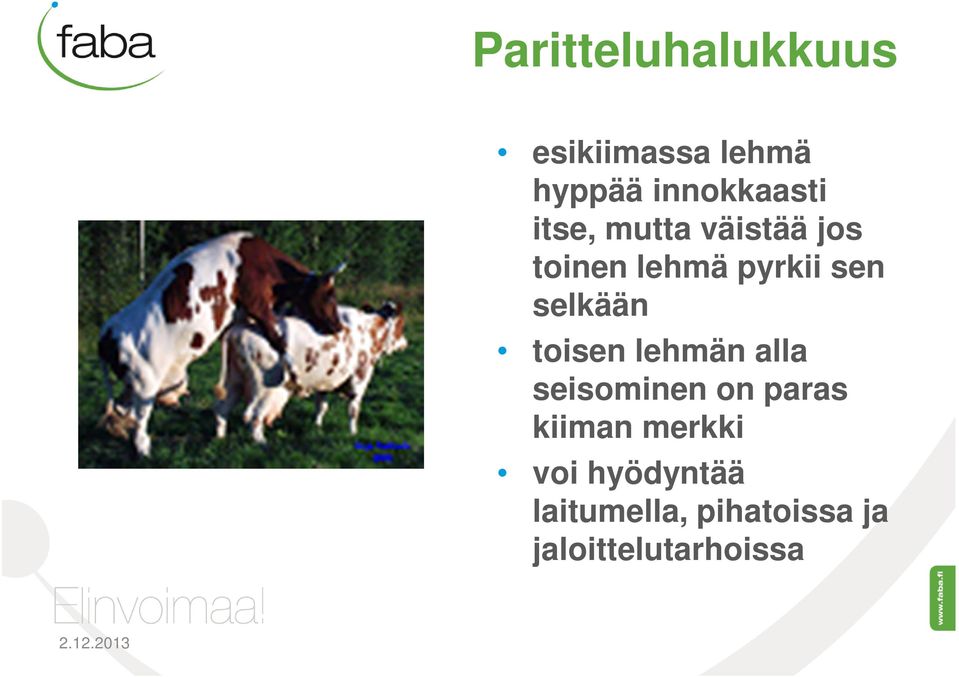 toisen lehmän alla seisominen on paras kiiman merkki voi