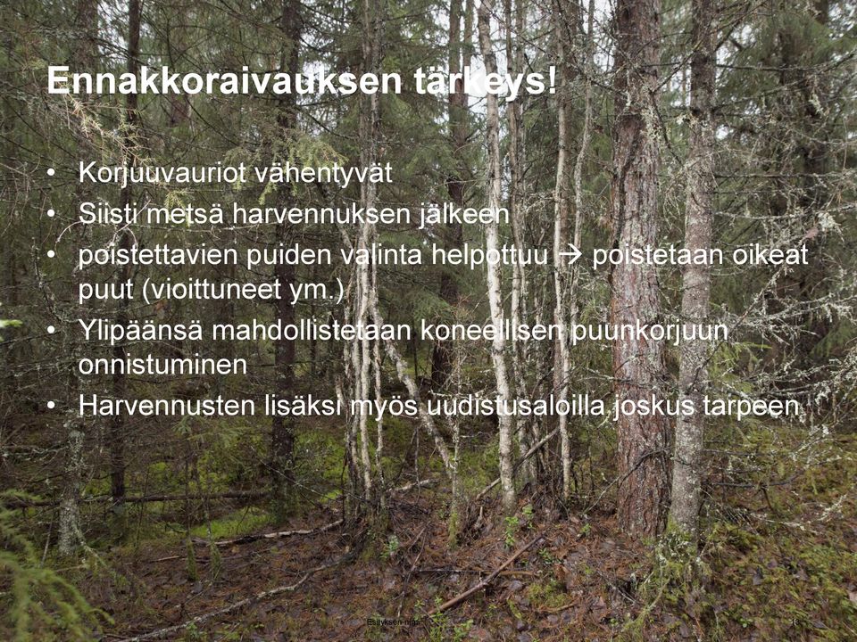 puiden valinta helpottuu poistetaan oikeat puut (vioittuneet ym.