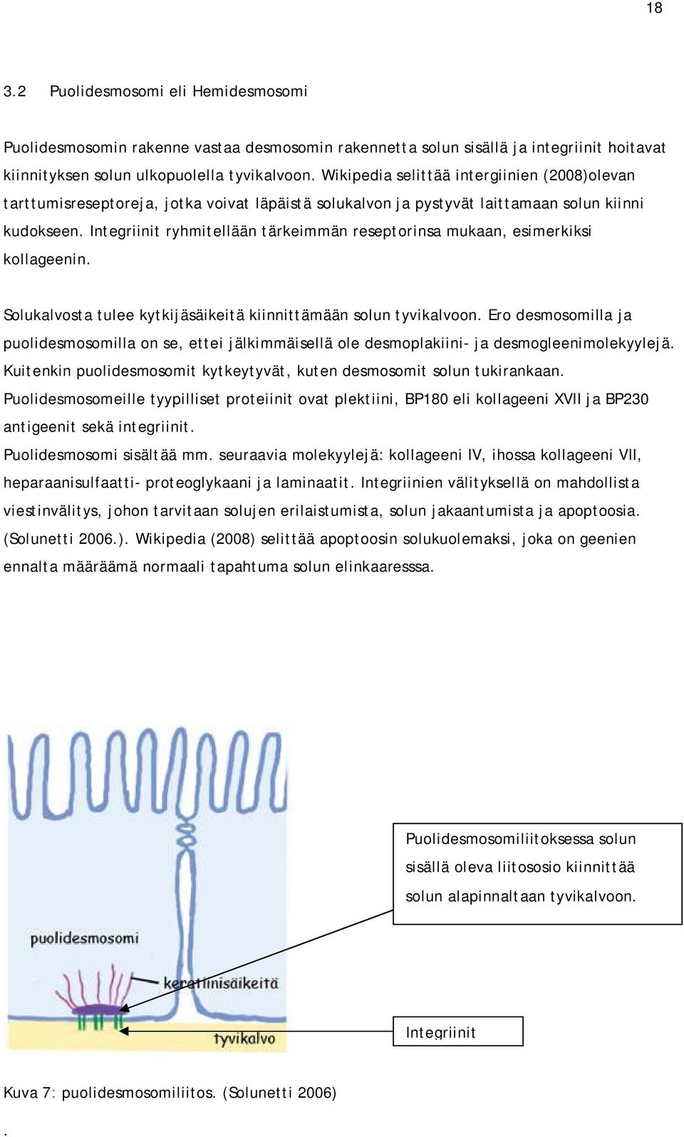 Integriinit ryhmitellään tärkeimmän reseptorinsa mukaan, esimerkiksi kollageenin. Solukalvosta tulee kytkijäsäikeitä kiinnittämään solun tyvikalvoon.