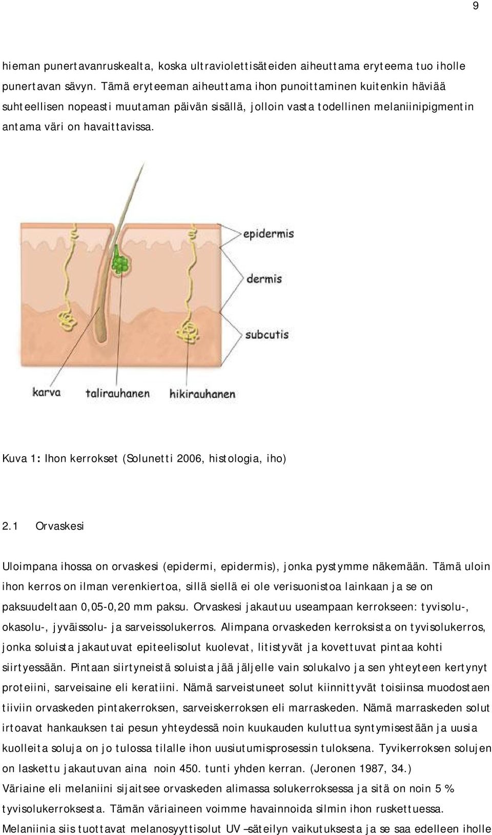 Kuva 1: Ihon kerrokset (Solunetti 2006, histologia, iho) 2.1 Orvaskesi Uloimpana ihossa on orvaskesi (epidermi, epidermis), jonka pystymme näkemään.