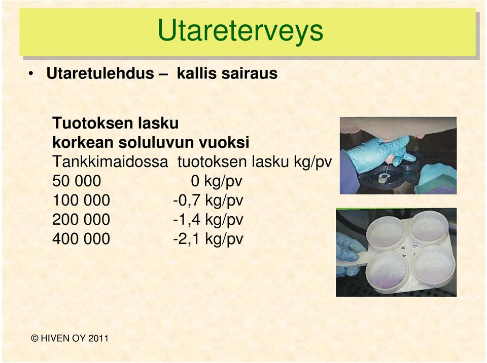 Tankkimaidossa tuotoksen lasku kg/pv 50 000