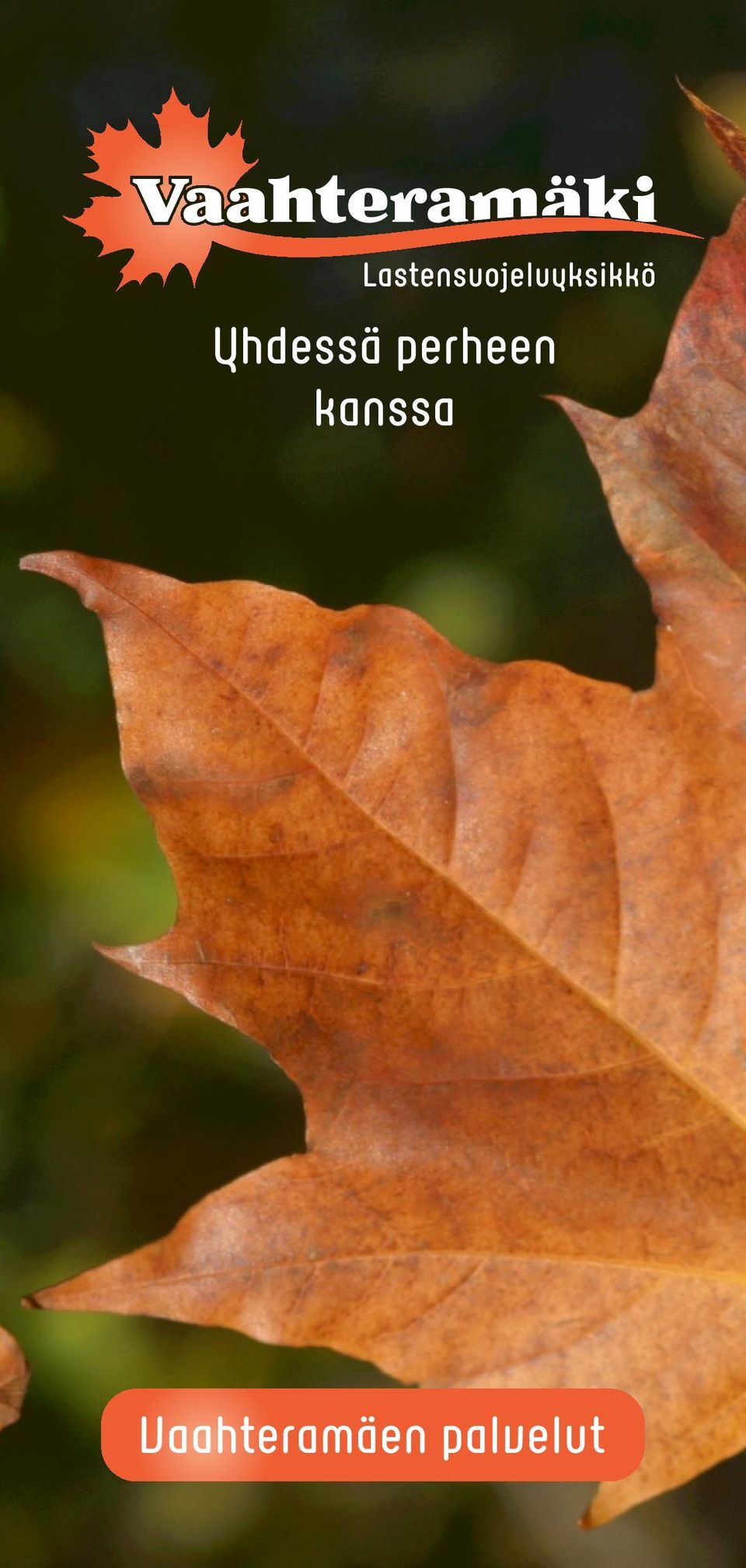 kanssa