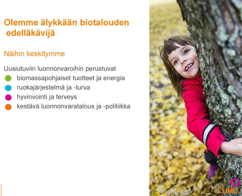 biomassapohjaiset tuotteet ja energia ruokajärjestelmä