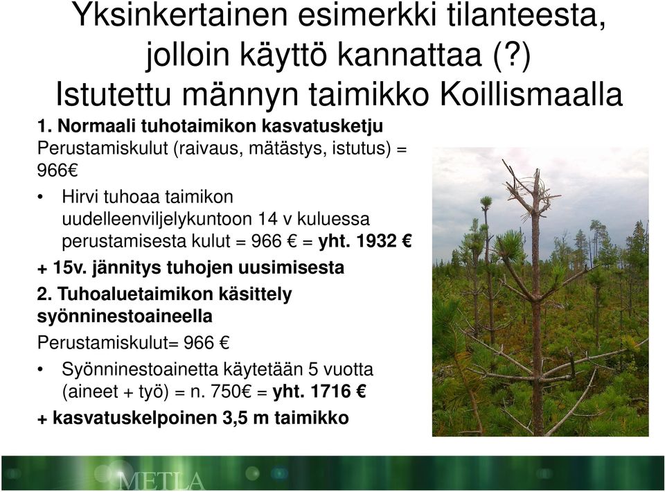 uudelleenviljelykuntoon 14 v kuluessa perustamisesta kulut = 966 = yht. 1932 + 15v. jännitys tuhojen uusimisesta 2.