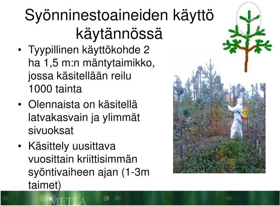 Olennaista on käsitellä latvakasvain ja ylimmät sivuoksat