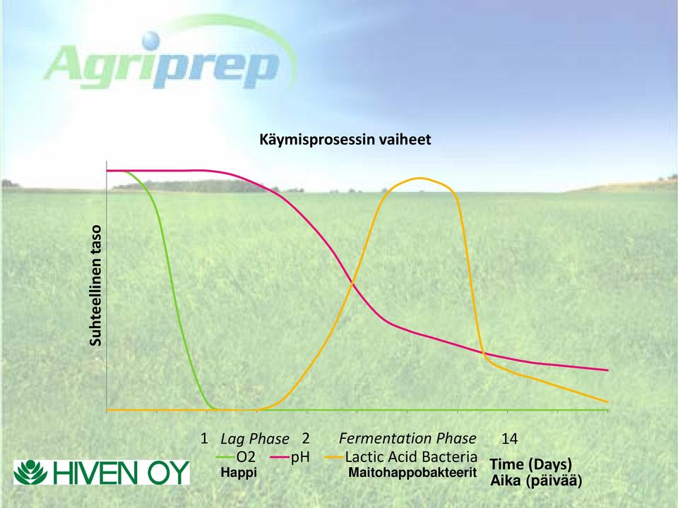 14 O2 ph Lactic Acid Bacteria Time