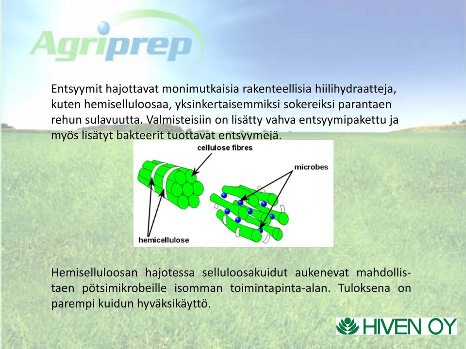 Valmisteisiin on lisätty vahva entsyymipakettu ja myös lisätyt bakteerit tuottavat entsyymejä.