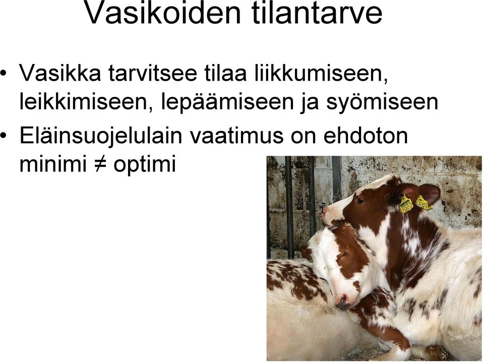 leikkimiseen, lepäämiseen ja