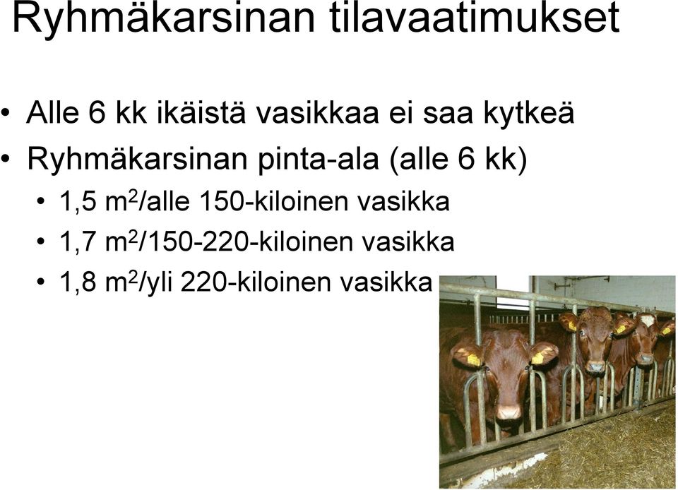 6 kk) 1,5 m 2 /alle 150-kiloinen vasikka 1,7 m 2