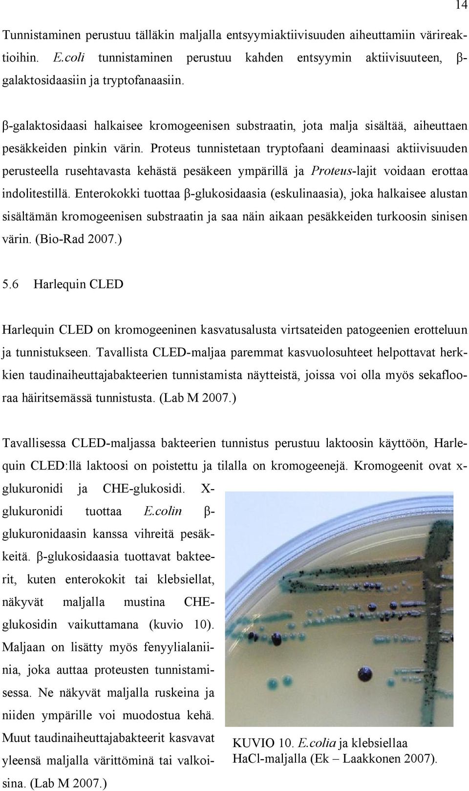 Proteus tunnistetaan tryptofaani deaminaasi aktiivisuuden perusteella rusehtavasta kehästä pesäkeen ympärillä ja Proteus-lajit voidaan erottaa indolitestillä.