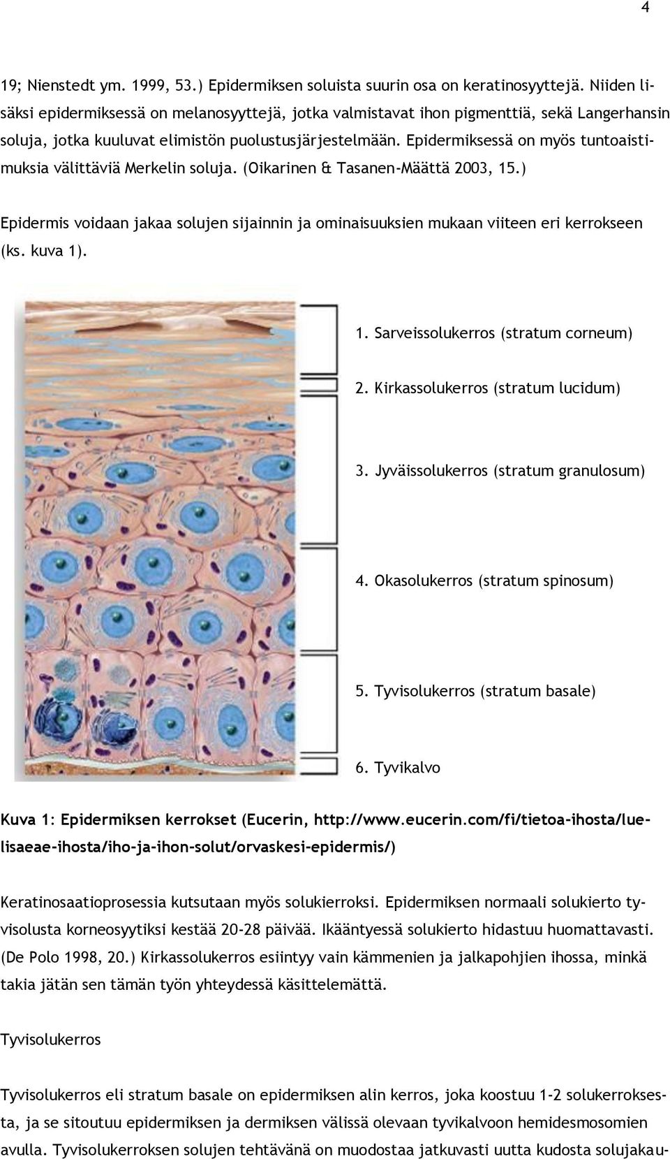 Epidermiksessä on myös tuntoaistimuksia välittäviä Merkelin soluja. (Oikarinen & Tasanen-Määttä 2003, 15.