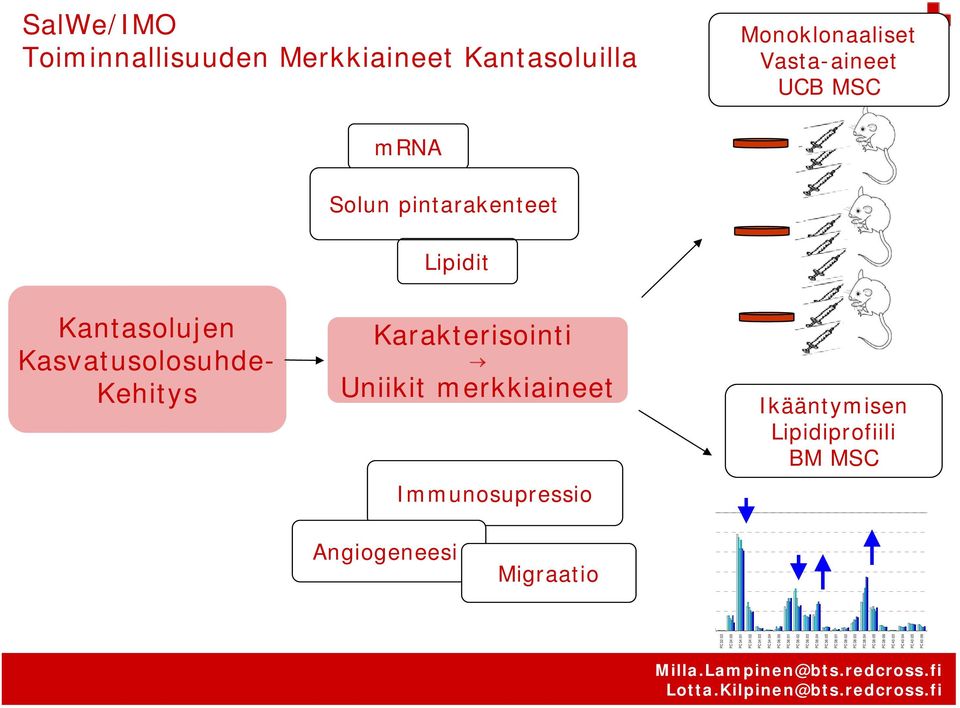 BM MSC Angiogeneesi Migraatio 13 PC32:03 PC34:00 PC34:01 PC34:02 PC34:03 PC34:04 PC36:00 PC36:01 PC36:02 PC36:03 PC36:04 PC36:05 PC38:01