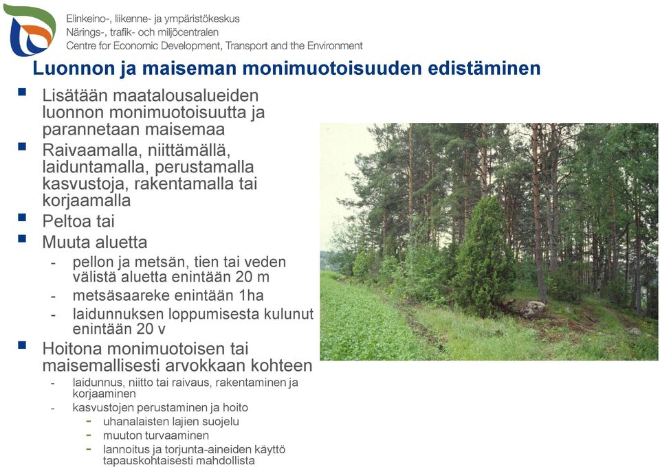 metsäsaareke enintään 1ha laidunnuksen loppumisesta kulunut enintään 20 v Hoitona monimuotoisen tai maisemallisesti arvokkaan kohteen laidunnus, niitto tai