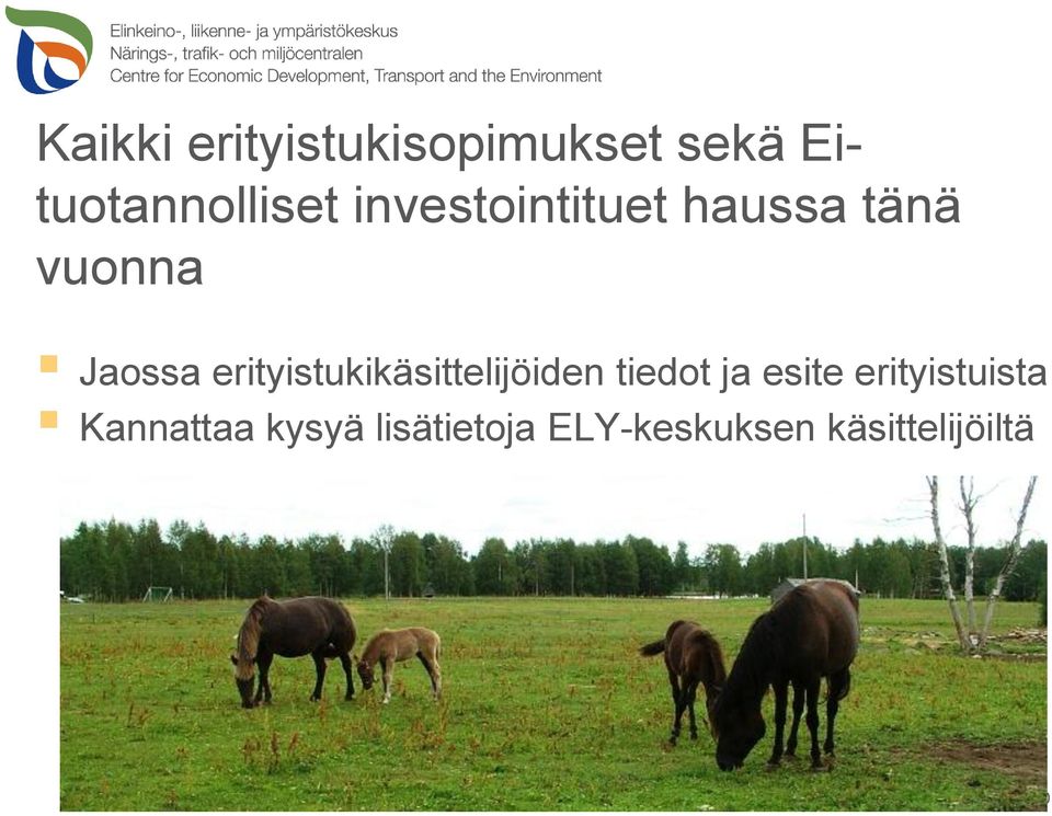 erityistukikäsittelijöiden tiedot ja esite