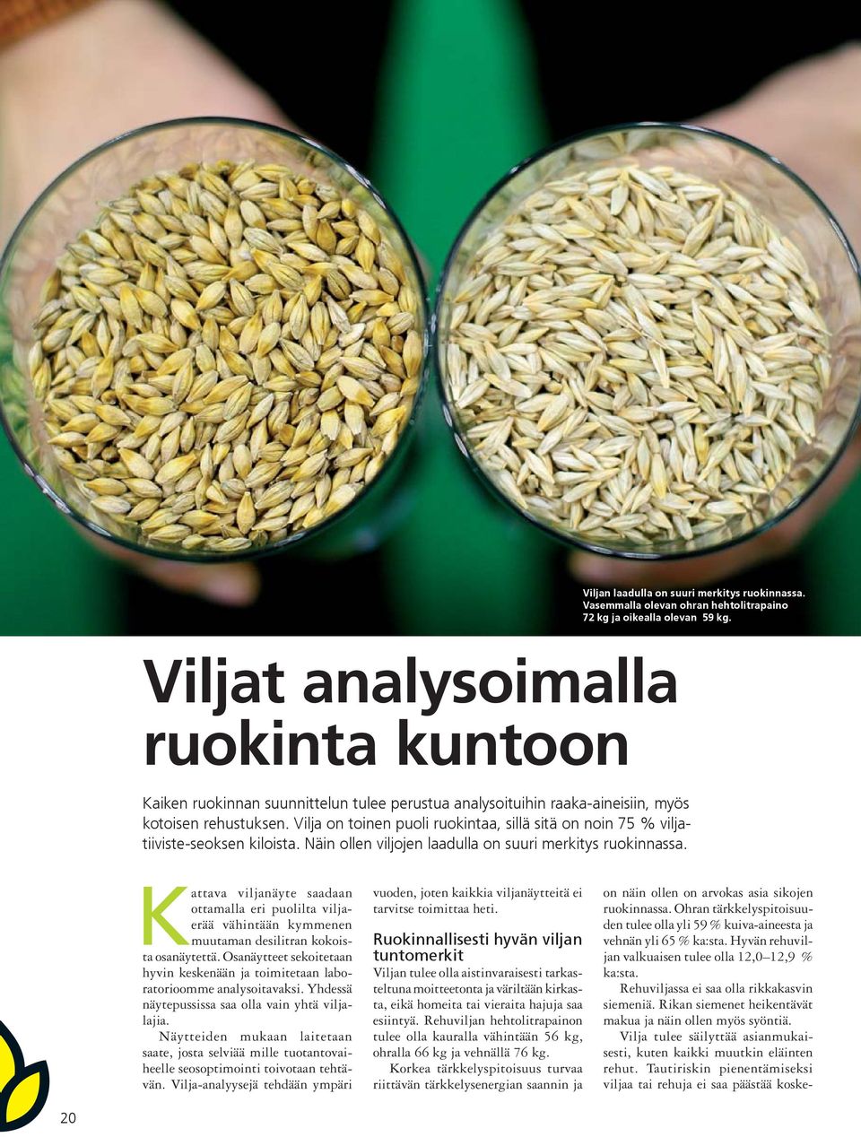 Vilja on toinen puoli ruokintaa, sillä sitä on noin 75 % viljatiiviste-seoksen kiloista. Näin ollen viljojen laadulla on suuri merkitys ruokinnassa.