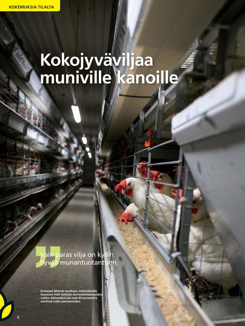 Kivimäet lähtivät matkaan virikehäkeillä.