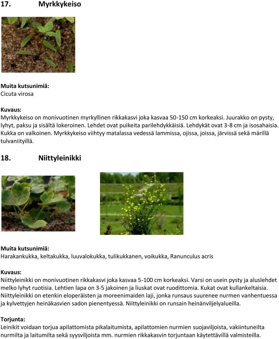 18. Niittyleinikki Harakankukka, keltakukka, luuvalokukka, tulikukkanen, voikukka, Ranunculus acris Niittyleinikki on monivuotinen rikkakasvi joka kasvaa 5-100 cm korkeaksi.