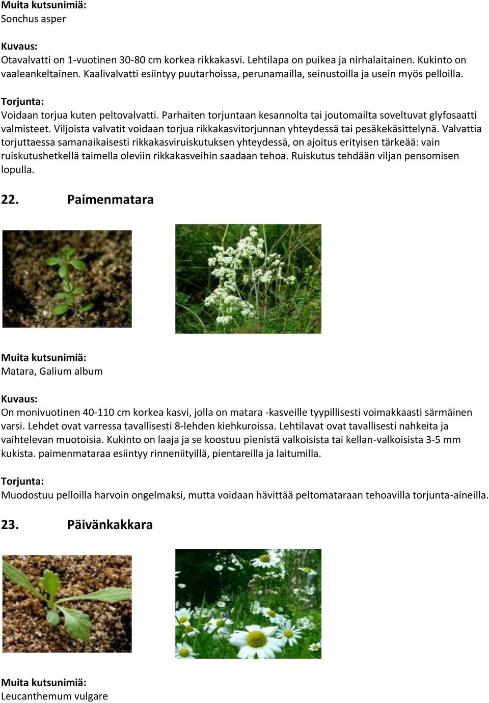 Parhaiten torjuntaan kesannolta tai joutomailta soveltuvat glyfosaatti valmisteet. Viljoista valvatit voidaan torjua rikkakasvitorjunnan yhteydessä tai pesäkekäsittelynä.