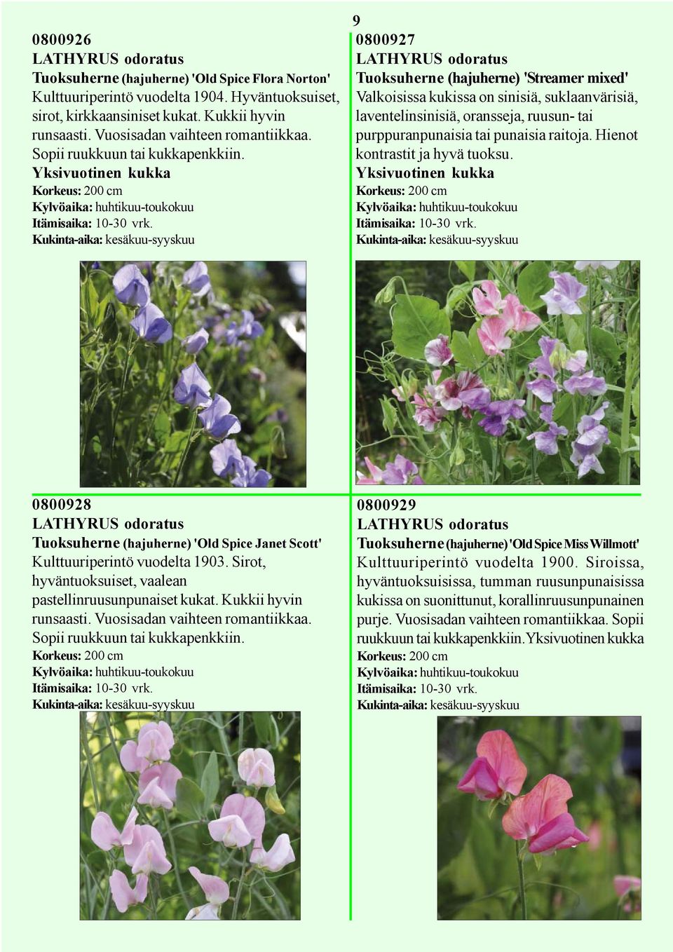 Yksivuotinen kukka Korkeus: 200 cm Kylvöaika: huhtikuu-toukokuu Kukinta-aika: kesäkuu-syyskuu 9 0800927 LATHYRUS odoratus Tuoksuherne (hajuherne) 'Streamer mixed' Valkoisissa kukissa on sinisiä,