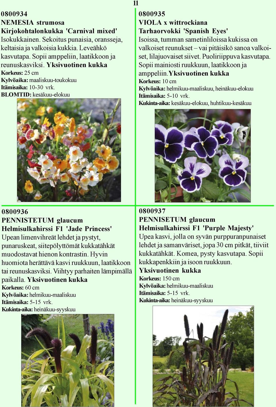 Yksivuotinen kukka Korkeus: 25 cm Kylvöaika: maaliskuu-toukokuu BLOMTID: kesäkuu-elokuu 11 0800935 VIOLA x wittrockiana Tarhaorvokki 'Spanish Eyes' Isoissa, tumman sametinliloissa kukissa on