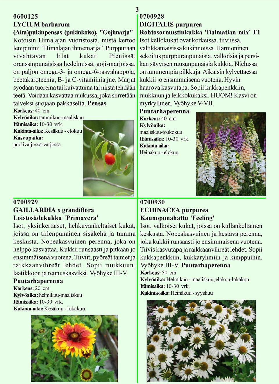 Pienissä, sekoitus purppuranpunaisia, valkoisia ja persikan oranssinpunaisissa hedelmissä, goji-marjoissa, on paljon omega-3- ja omega-6-rasvahappoja, beetakaroteenia, B- ja C-vitamiinia jne.