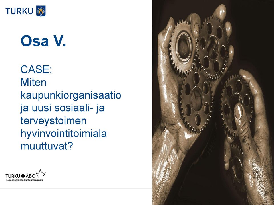 kaupunkiorganisaatio ja